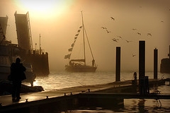 misty harbor pontoon